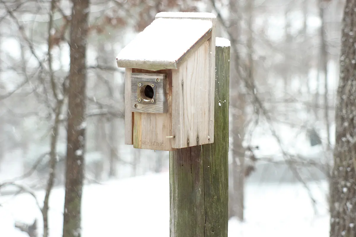 A wooden birdhouse with a snow-covered roof is mounted on a weathered wooden post in a snowy forest, with snow falling and…