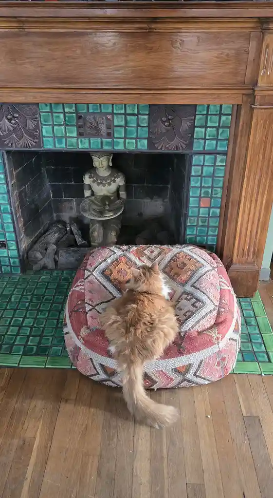 A fluffy orange cat sits on a patterned rug in front of an ornate fireplace with green tiled accents. Inside the fireplace…