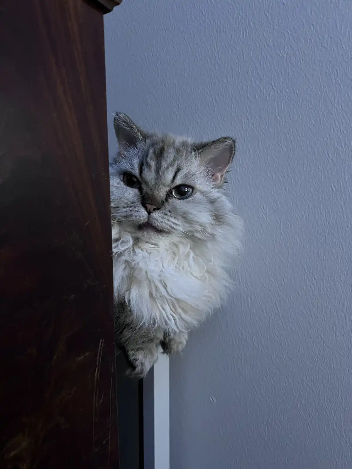 What’s going on over there?