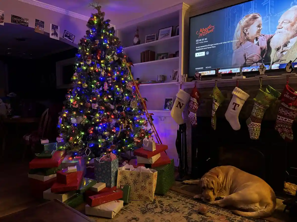Wishing You a Joyful Christmas!