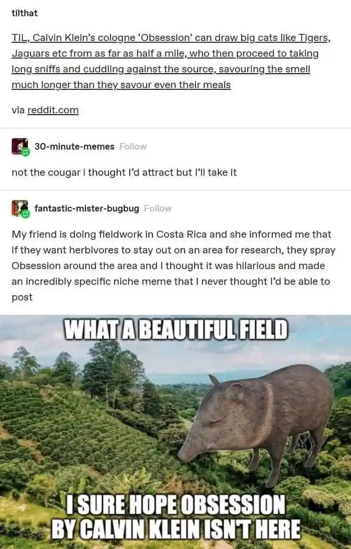 A digitally altered image shows a large, grey, boar-like animal (a tapir) standing in a lush green field with trees in the…