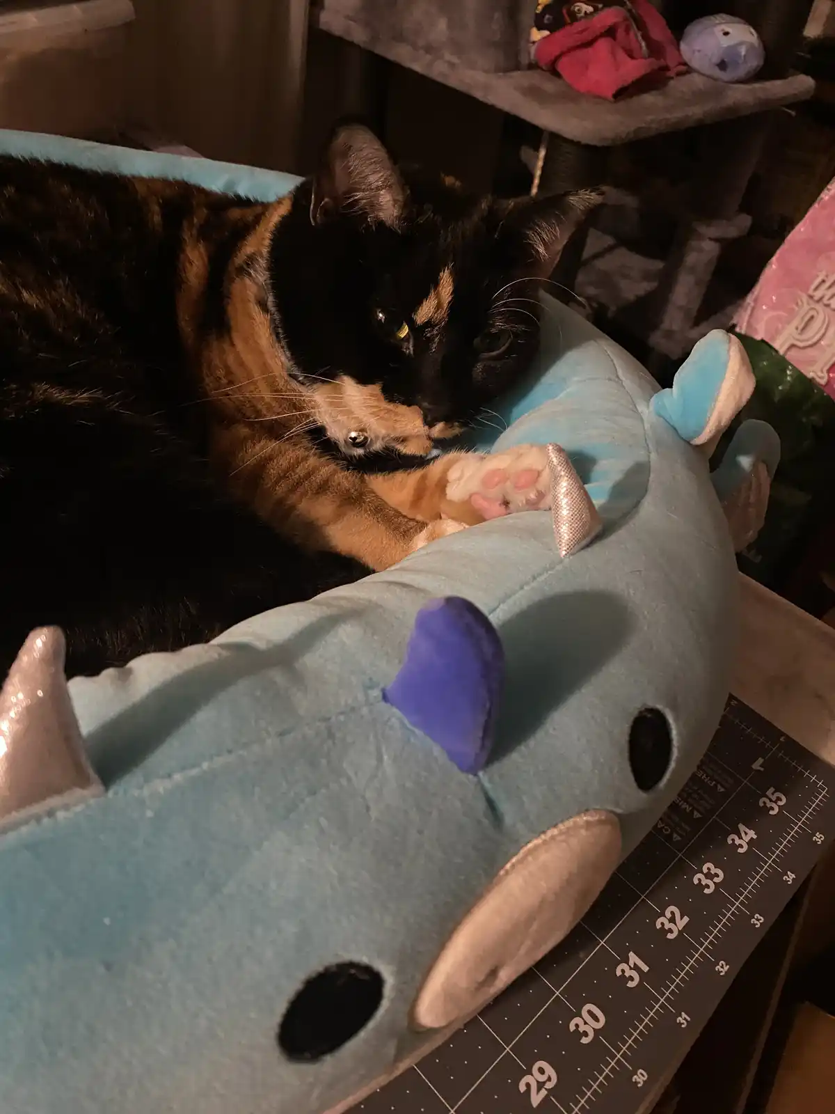 A tortoiseshell cat with a bell collar is lying on a light blue plush dolphin toy, resting its head and paw on the toy's…
