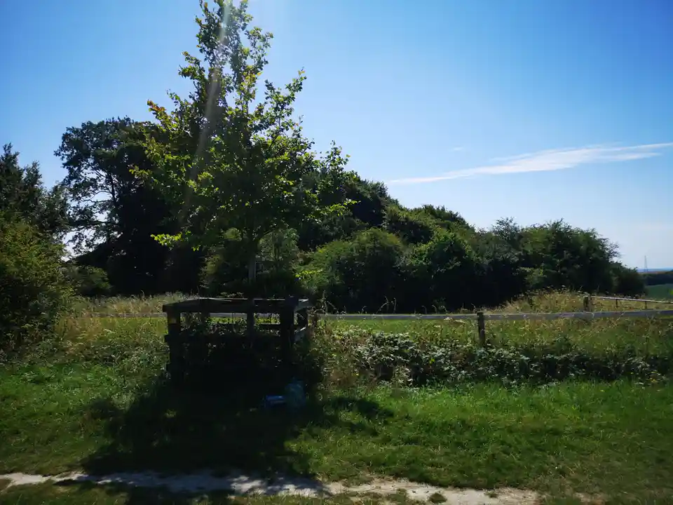 A bright sunny day outdoors with a wooden gate, a tree, and a grassy field under a clear blue sky. Overlaid text reads 'i'm…