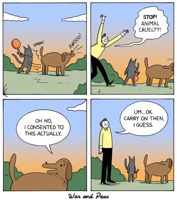 A four-panel comic strip shows a cat hitting a dog with a ball, causing the dog to yelp. A man intervenes, yelling 'STOP!…