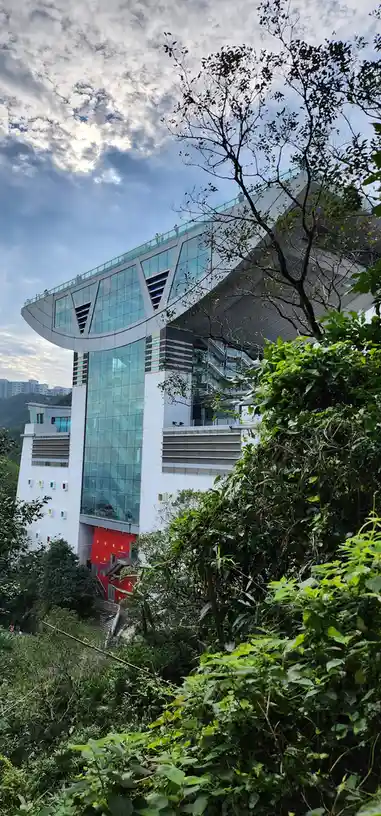 Morning Bliss: A Scenic Stroll Around the Peak
