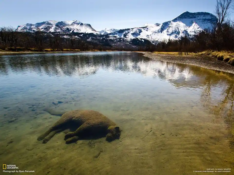 A serene landscape photograph shows a snow-capped mountain range reflected in a calm, shallow river. In the foreground, a…
