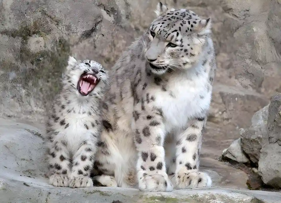 Of course, Mom! I definitely brushed my teeth!