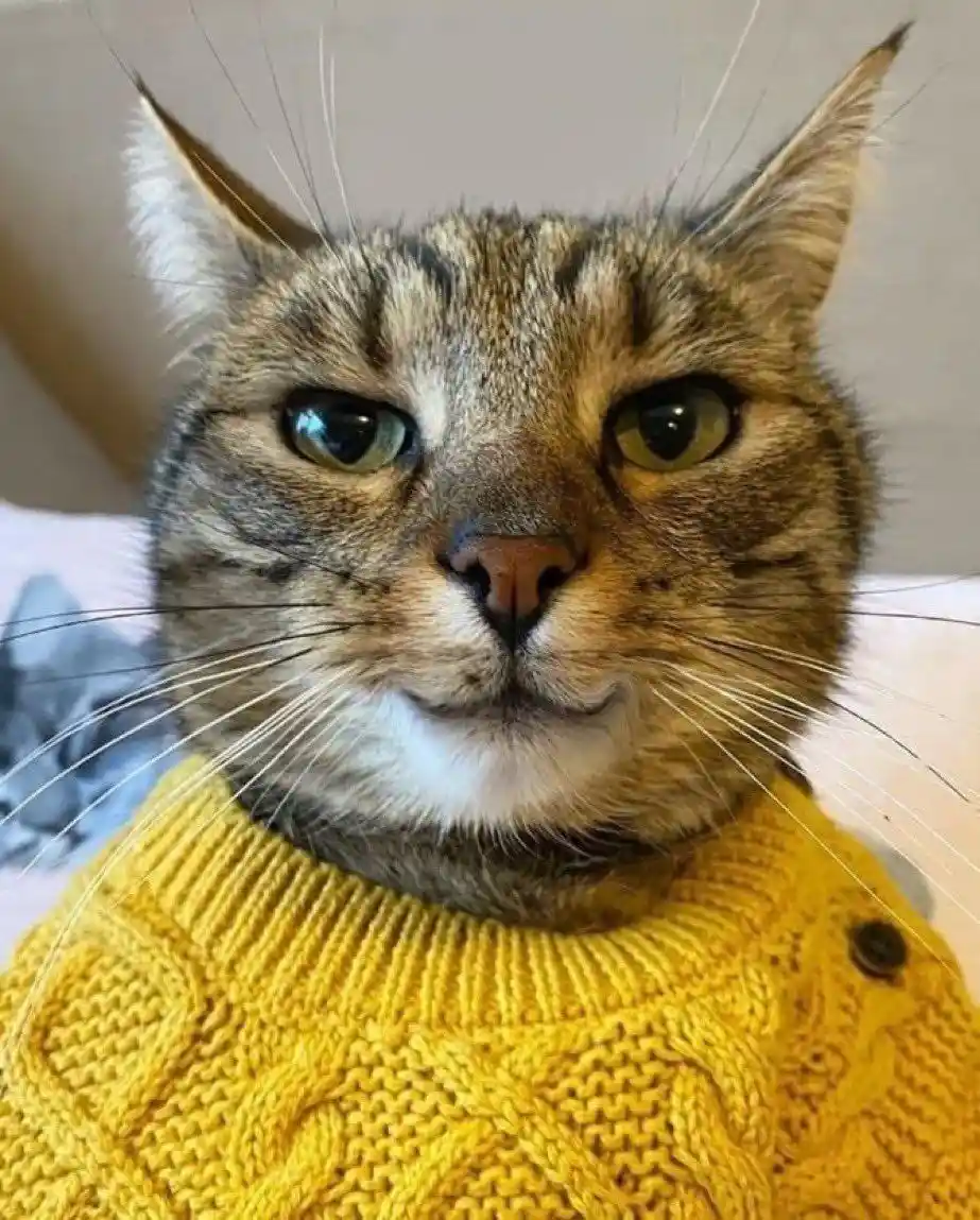 He Knows He’s a Heartthrob!