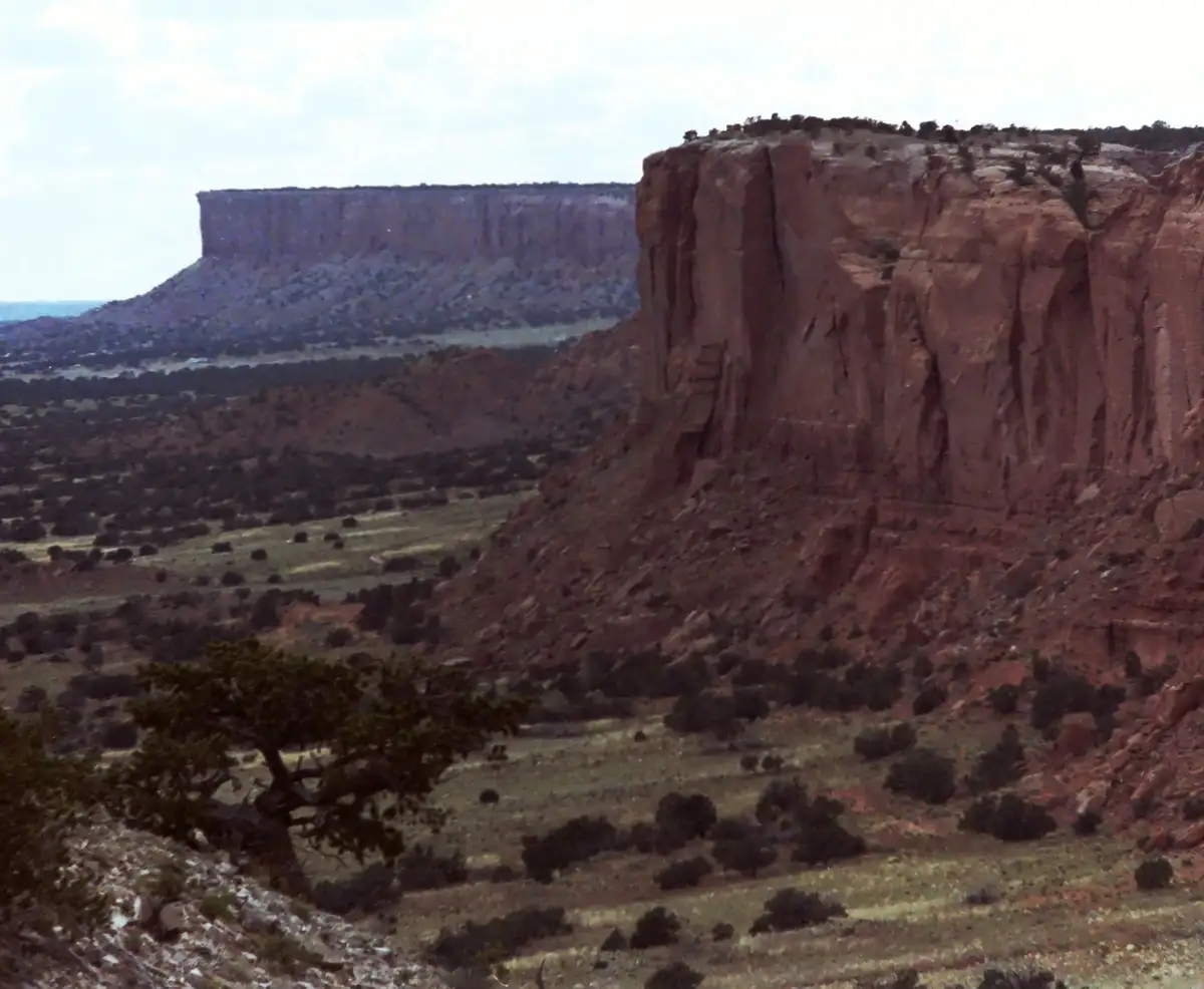A wide-angle photograph of a desert canyon with red rock cliffs, sparse green shrubs, and a distant mesa under a cloudy sky…