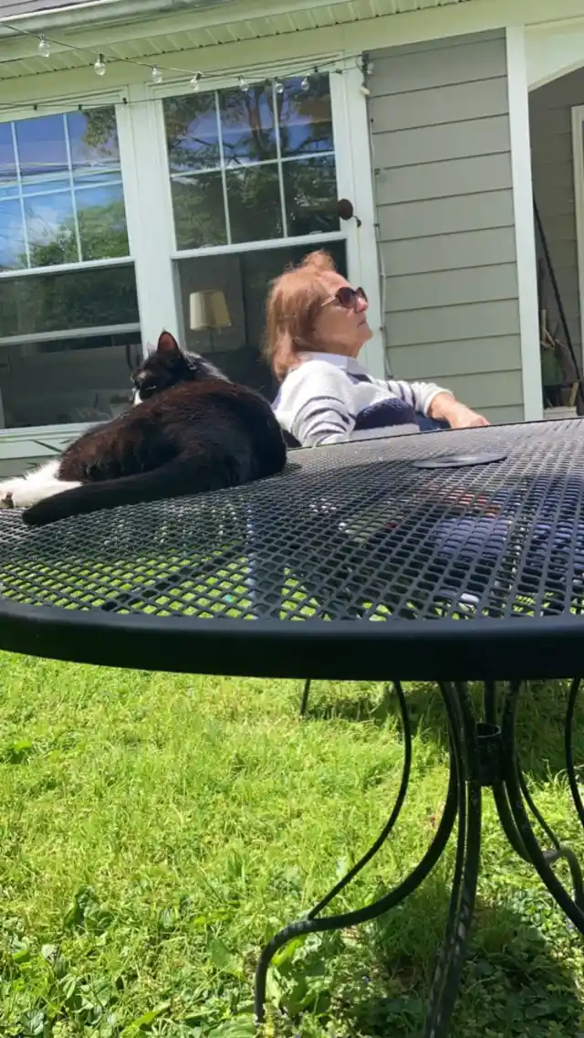 A black-and-white cat lounges on a black metal patio table outdoors, while a woman in sunglasses sits behind it, both…