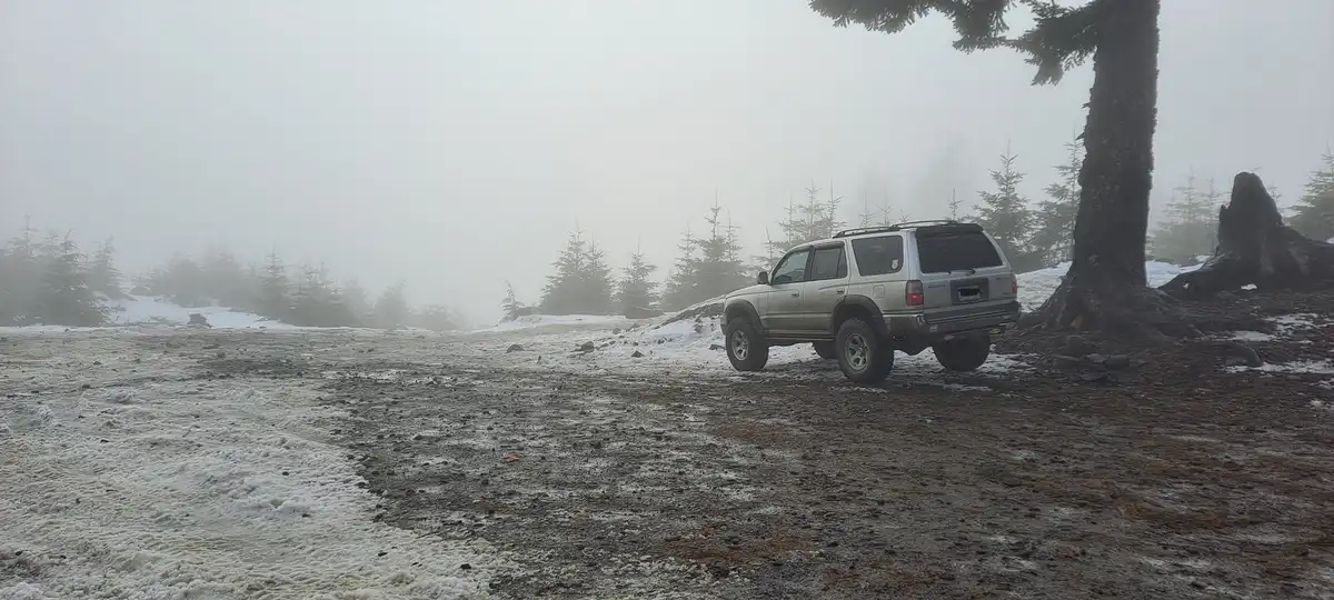 A silver SUV is parked on a snowy, foggy mountain road next to a large tree, with pine trees and mist obscuring the…