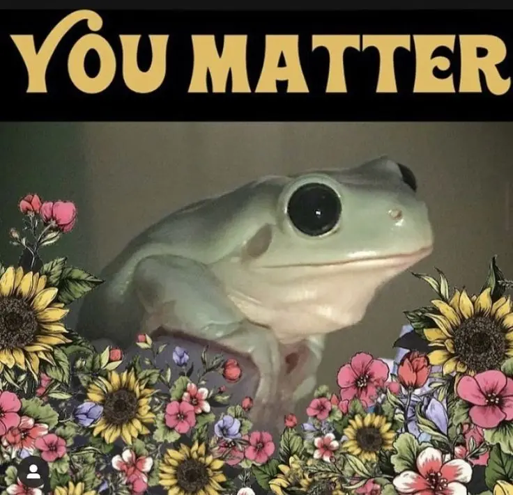 A close-up photo of a light green tree frog with large, dark eyes, framed by a colorful floral border featuring sunflowers…