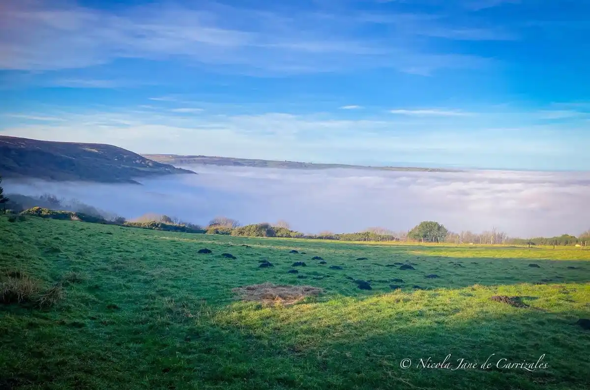 A scenic photo of a green hillside overlooking a sea of fog or low-lying clouds, with numerous dark animal burrows scattered…