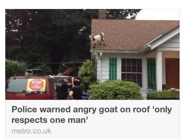 The Pinnacle of Respect