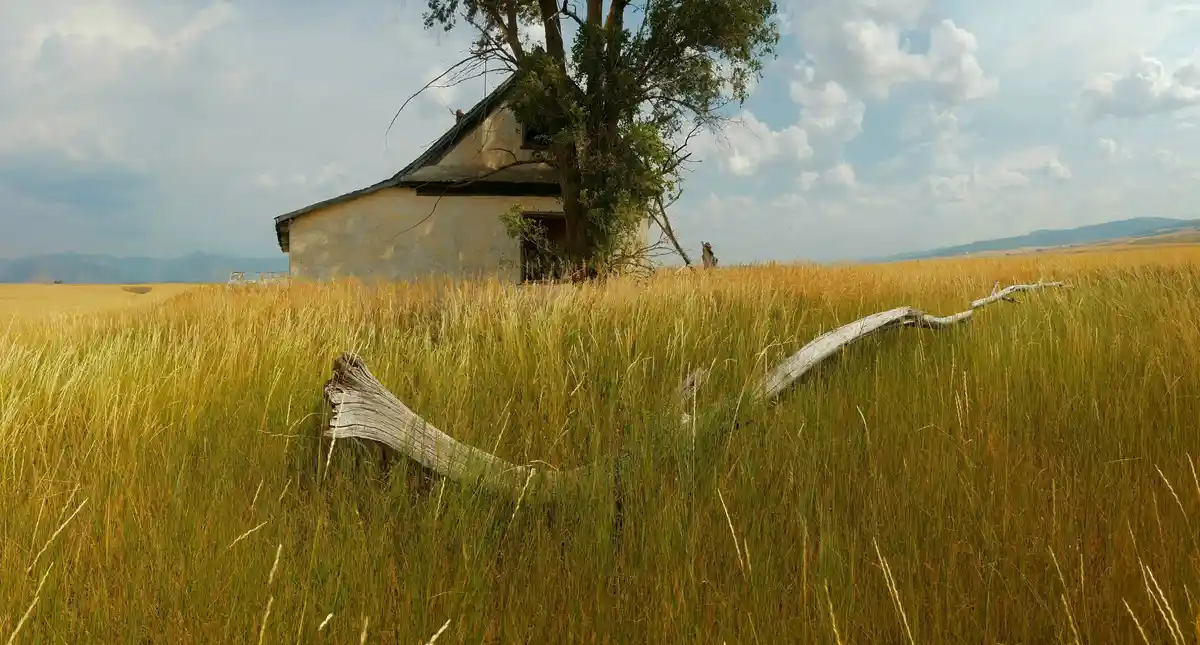 An abandoned, weathered house sits partially obscured by tall, golden-brown grass in a vast field under a partly cloudy sky…