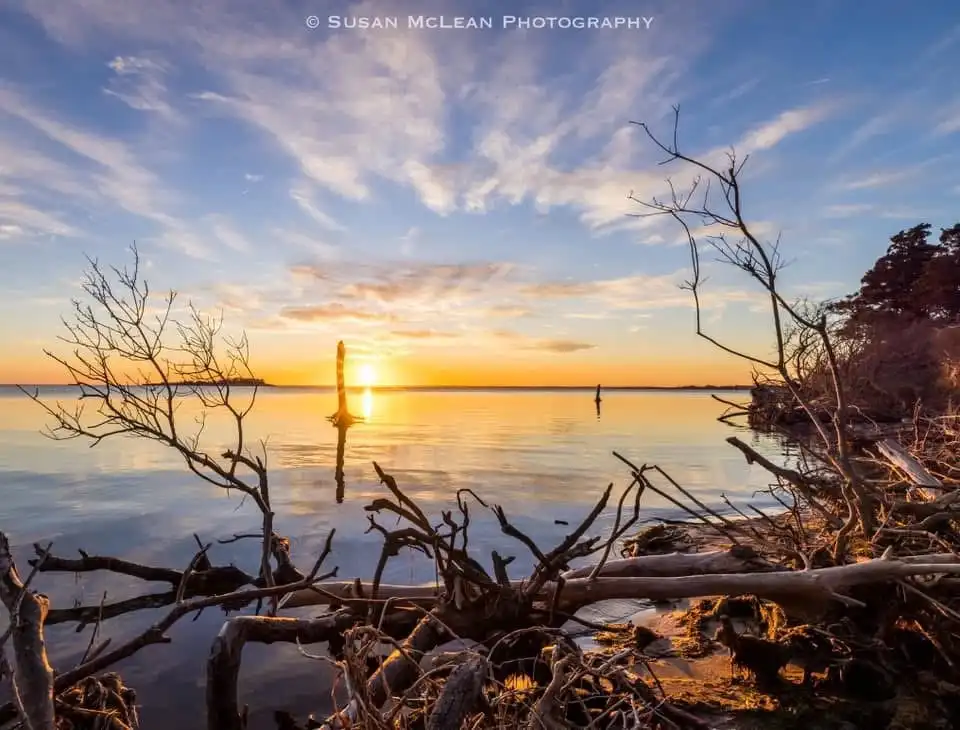 A serene sunset over calm water with bare tree branches in the foreground and a lone post standing in the water. The sky is…