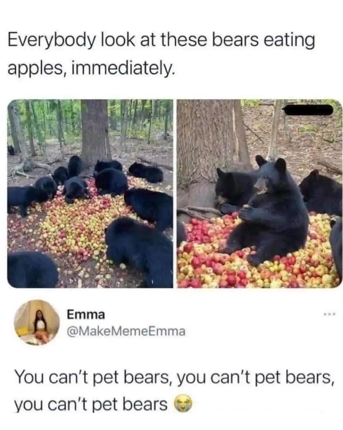 You can't... wait, what?