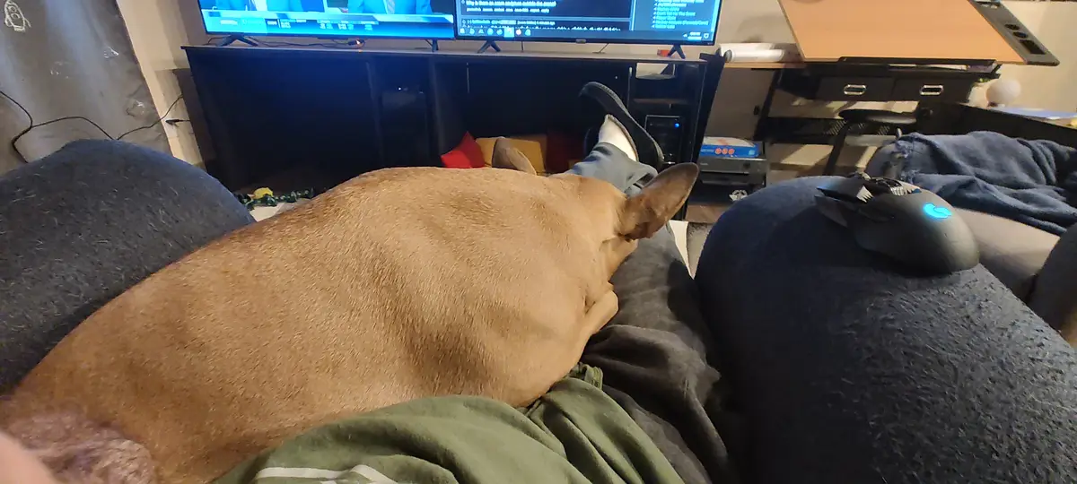 Maggie has officially made herself at home