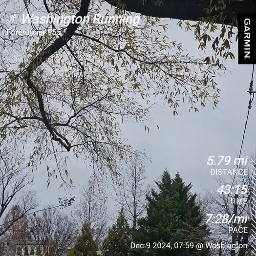 The Daily Grind: Embracing the Routine of My Daily Run