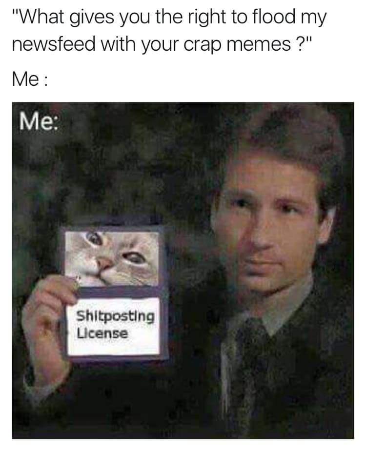 A man in a suit holds up a fake license with a cat's face on it and the text 'Shitposting License'. Above the image, text…