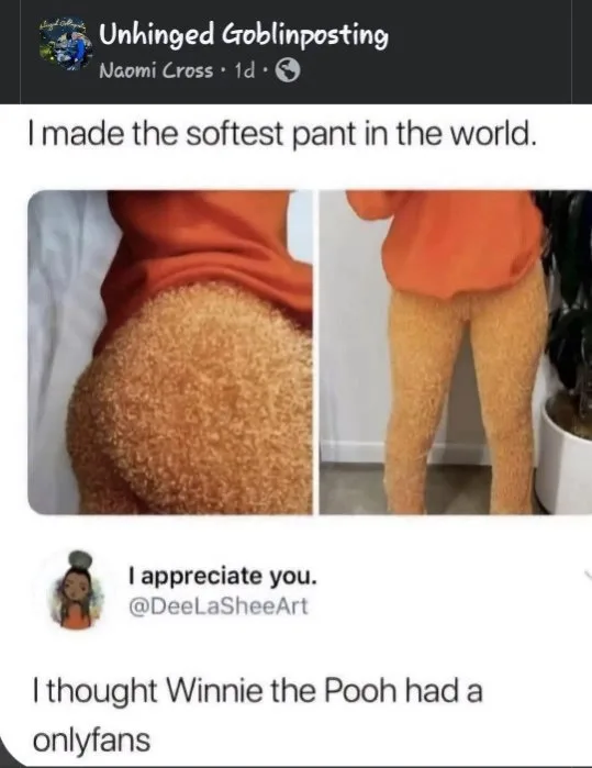 A social media post shows a person wearing extremely fluffy, orange, teddy-bear-like pants. The top text claims they made…