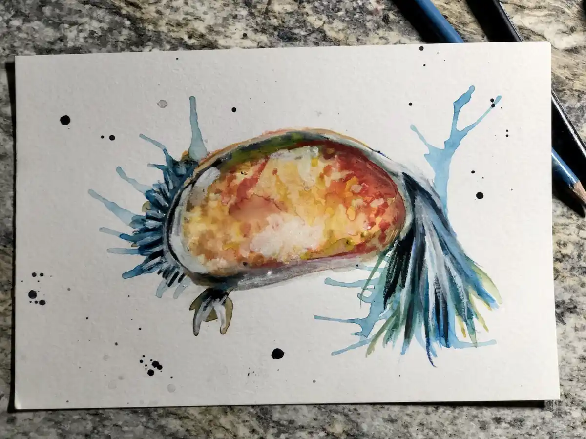 A watercolor painting on white paper depicts an open oyster shell with colorful, textured interior and blue-green splashes…