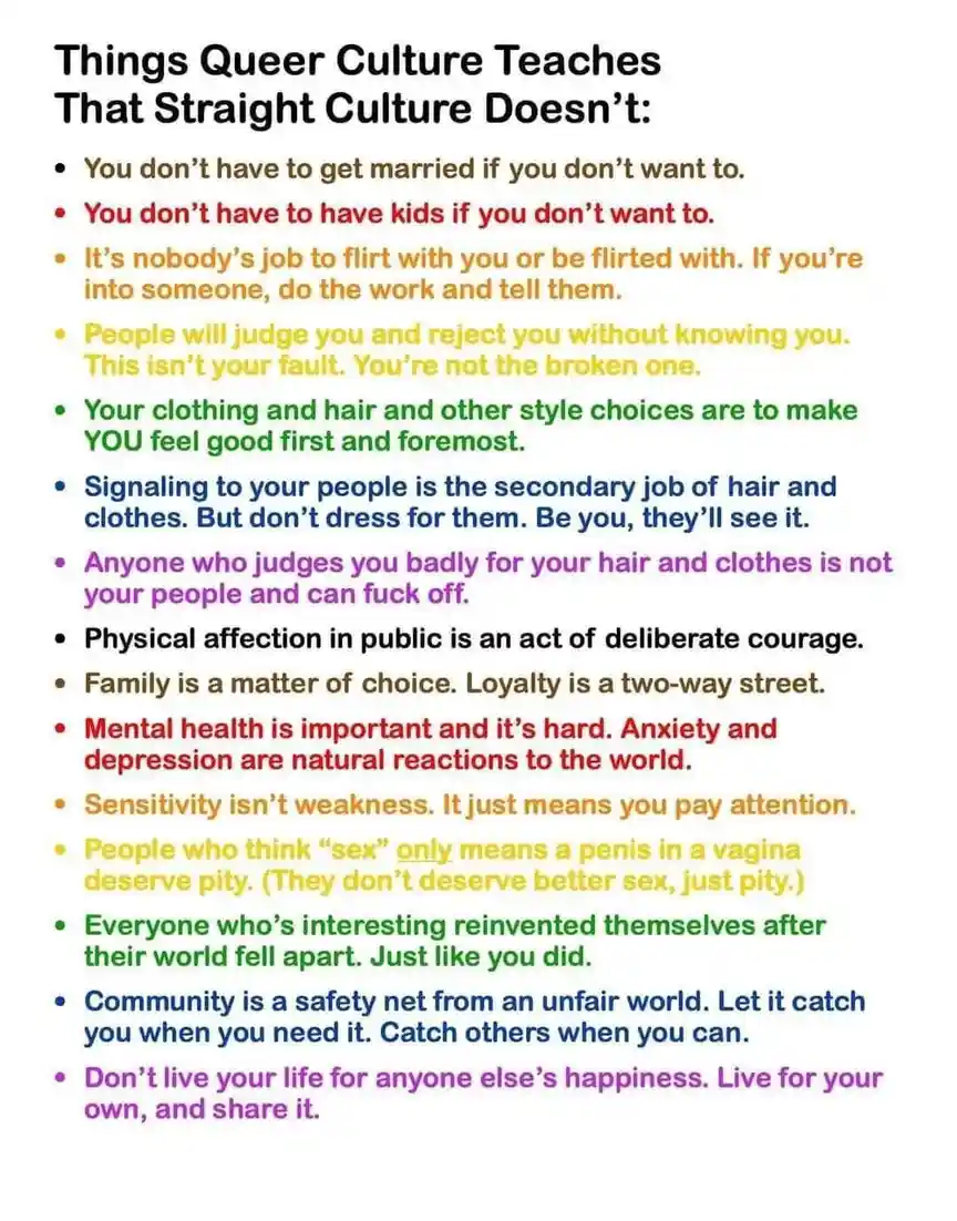 A white background image lists 12 bullet points under the heading 'Things Queer Culture Teaches That Straight Culture…