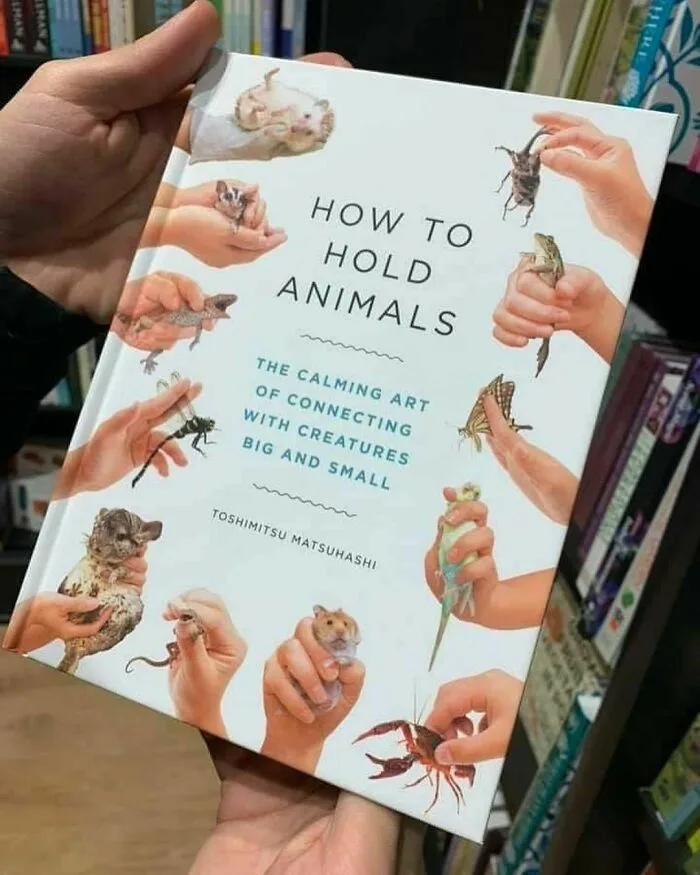 A person holds up a book titled 'How to Hold Animals: The Calming Art of Connecting with Creatures Big and Small' by…