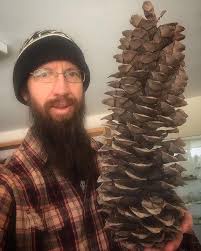A man with a long beard, glasses, and a plaid shirt holds up an enormous, unusually large pinecone. He is smiling at the…