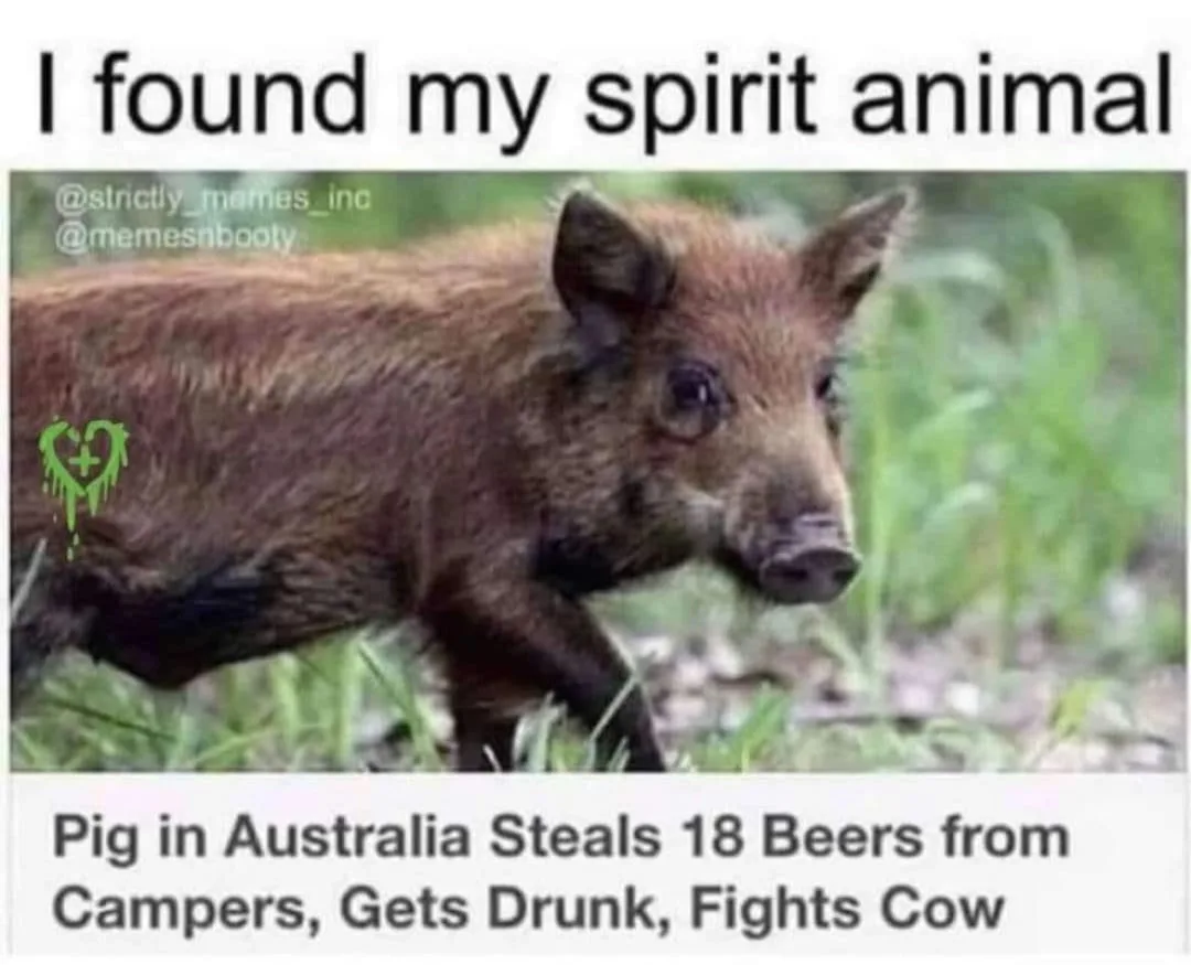 I Discovered My True Spirit Animal!