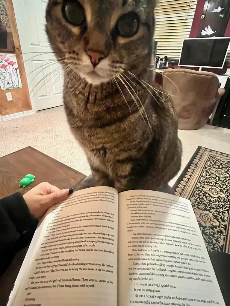 A close-up photo shows a tabby cat with wide, startled eyes staring directly at the camera, positioned behind a person's…