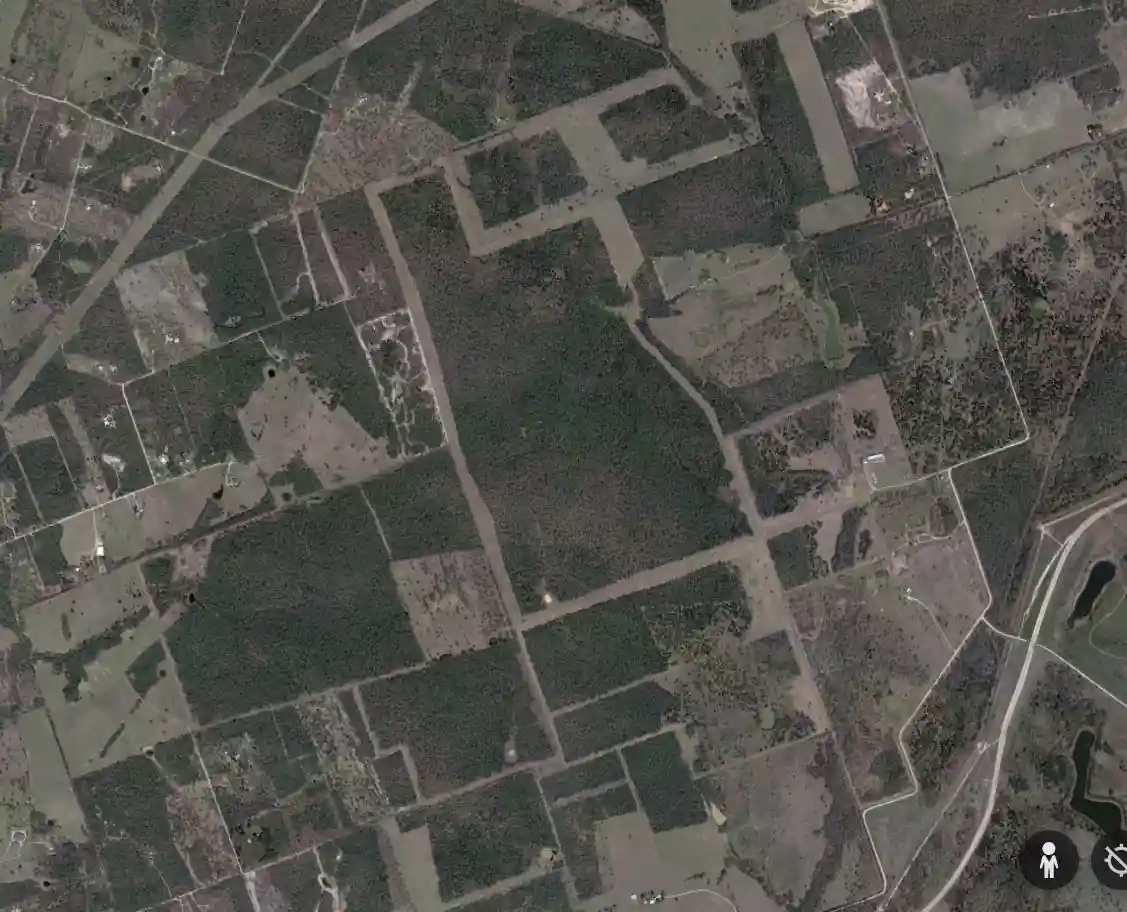 Exploring the Wonders of a Solar Farm
