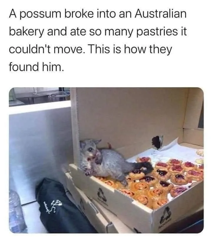 The Struggles of a Hangover