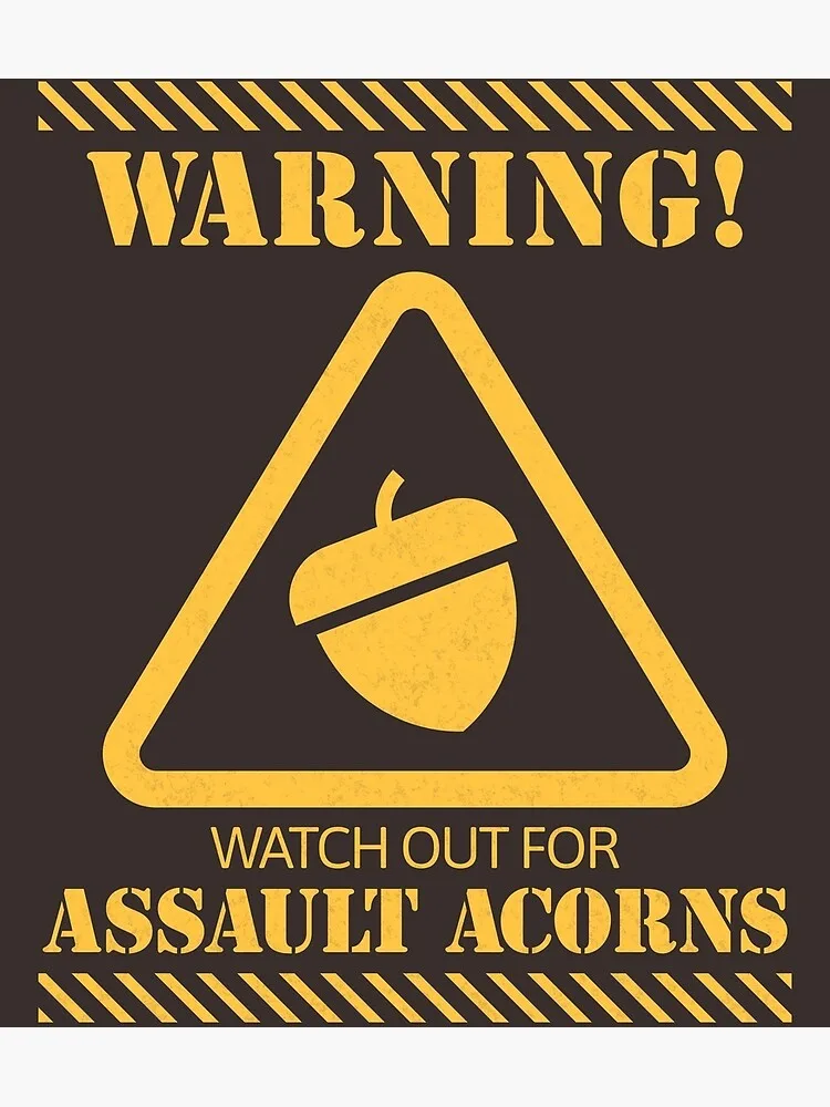 Caution: Proceed with Care!