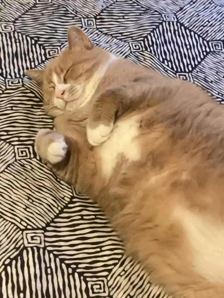 Fatrick's Adorable Moments