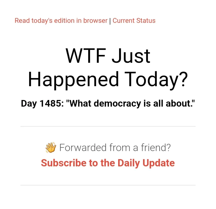 The image displays a screenshot of a newsletter titled 'WTF Just Happened Today?' with the subtitle 'Day 1485: "What…