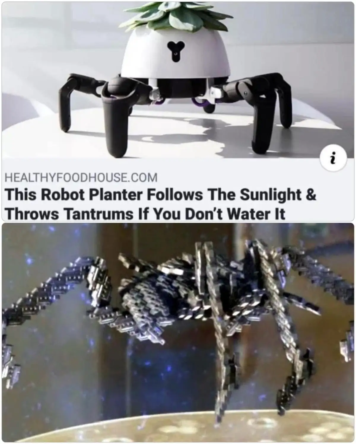 The top panel shows a white, spider-like robot planter with a succulent on its head and black articulated legs, standing on…