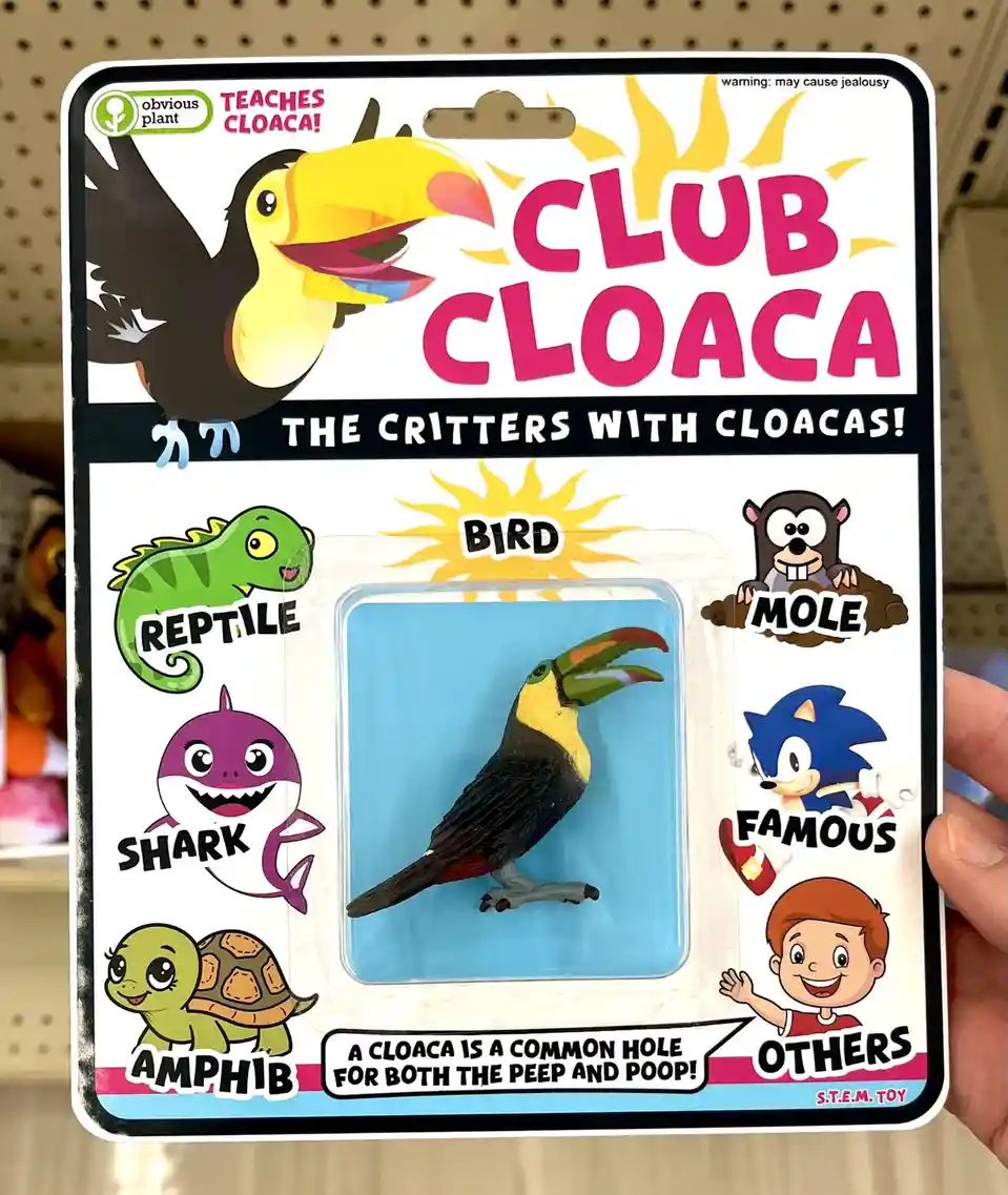 A toy package for 'Club Cloaca' featuring a toucan figurine, with cartoon labels around it categorizing animals like…