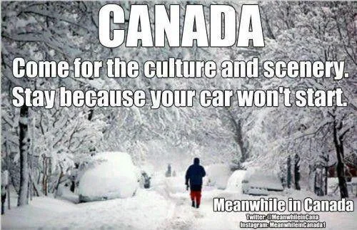 A person walks through a snow-covered residential street with cars buried under deep snow. Large white text at the top reads…