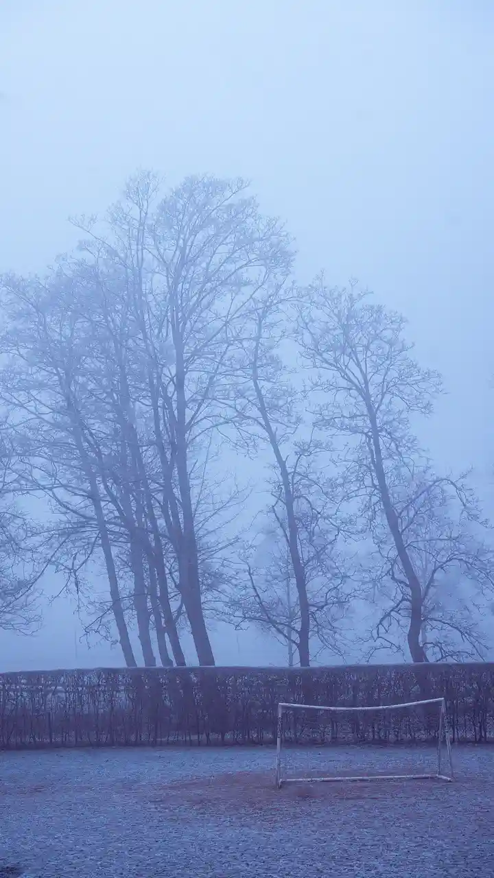 A foggy, frost-covered field features a solitary, weathered soccer goal in the foreground, with bare, skeletal trees looming…