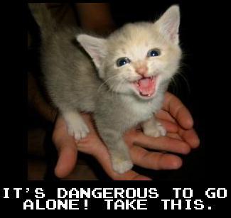 A small, light-colored kitten with wide eyes and an open mouth is being held in a person's cupped hands against a dark…