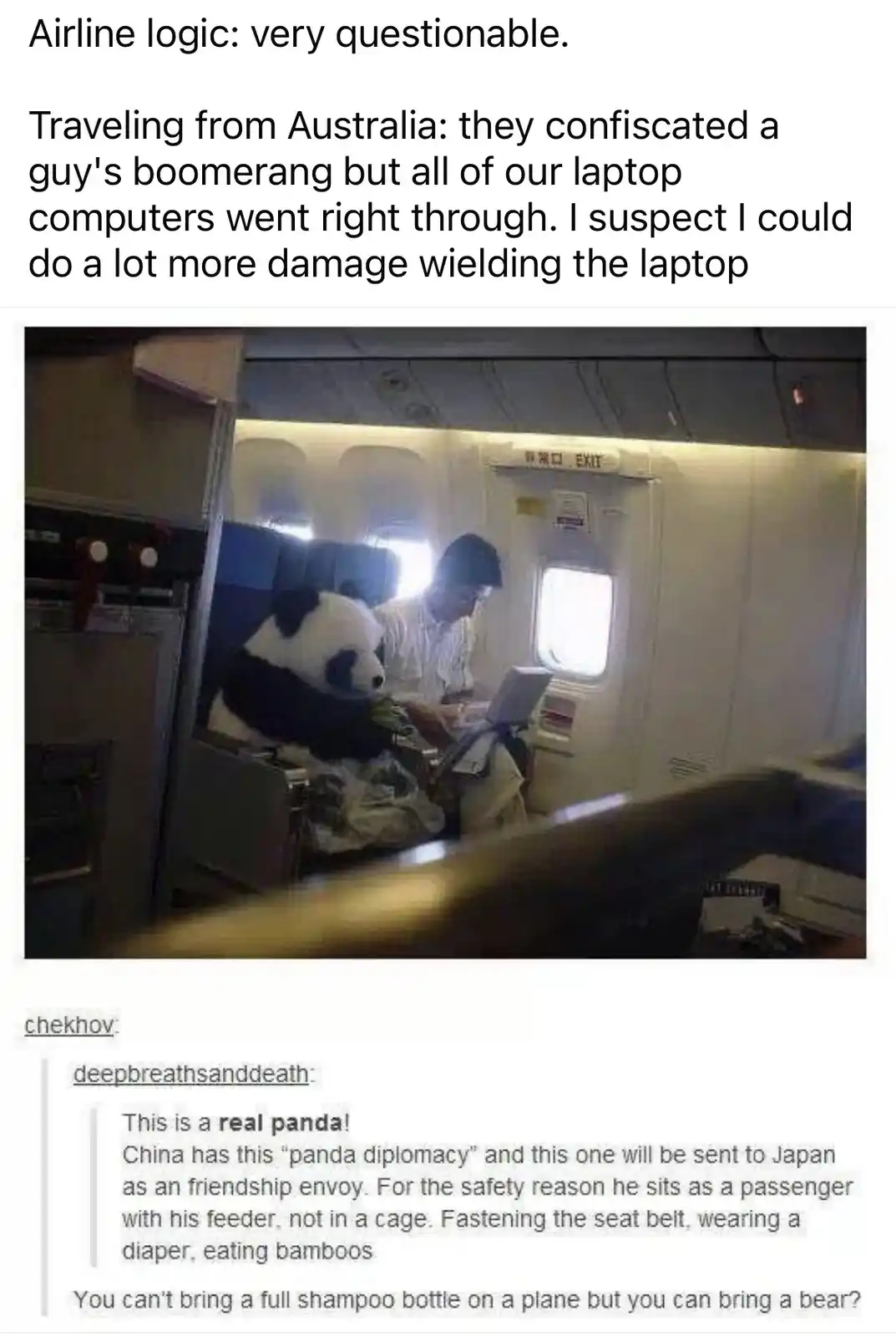 A person sits in an airplane seat next to a large panda plushie, using a laptop. The overlaid text sarcastically complains…