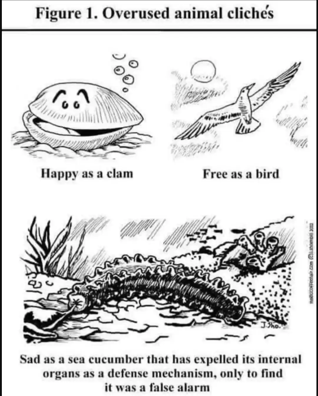A black-and-white cartoon titled 'Figure 1. Overused animal clichés' displays three panels. The top left shows a smiling…