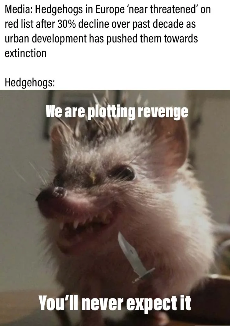 The image shows a close-up of a hedgehog with a menacing expression, baring its teeth and holding a small knife. The text…