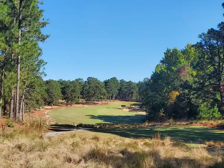 A scenic view of a golf course with green fairways, sand traps, and tall pine trees under a clear blue sky. The overlaid…