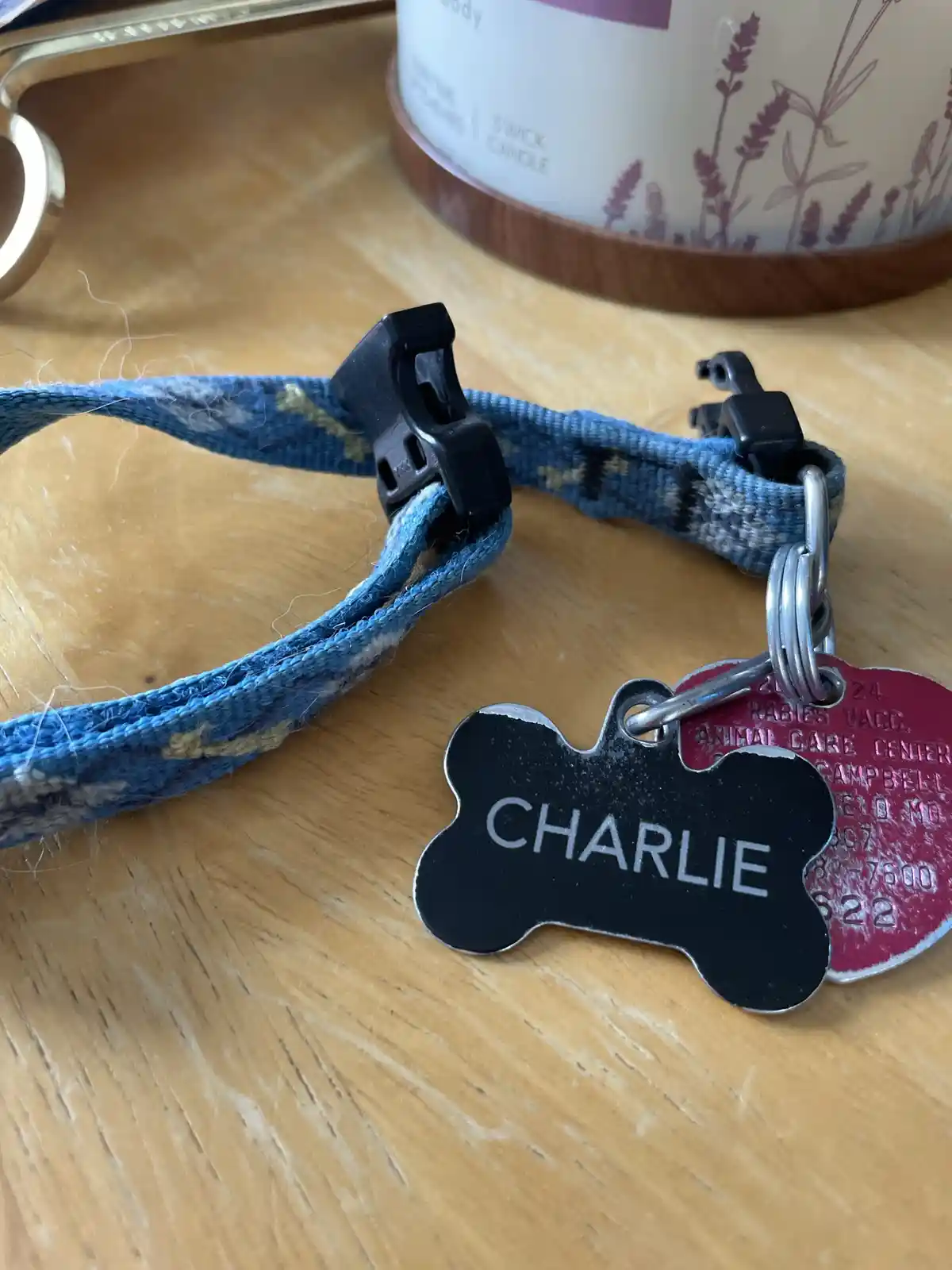 A close-up photo shows a blue patterned dog collar with two tags on a wooden surface. One tag is black and bone-shaped with…