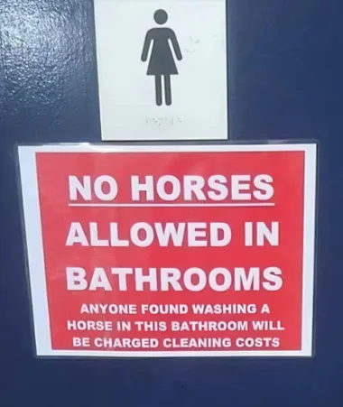 A red sign with white text is taped to a dark blue door, below a standard female restroom symbol. The sign reads 'NO HORSES…