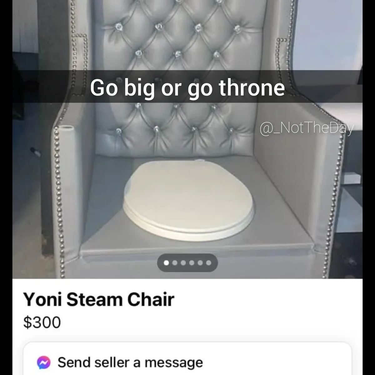 An image of a luxurious, tufted grey throne-style chair with a white toilet seat placed on its seat. Overlaid text reads 'Go…