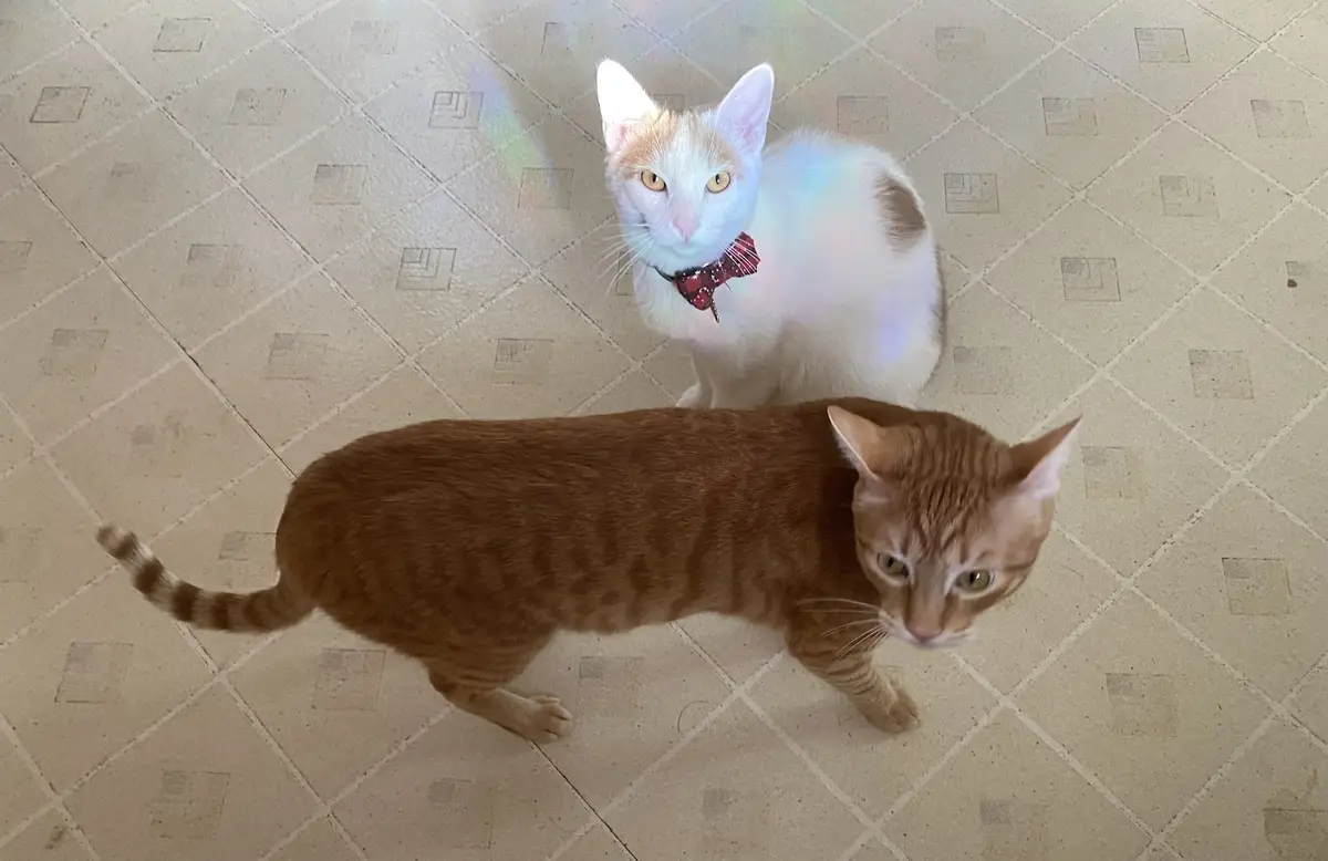 Adorable Big Babies Taking Over