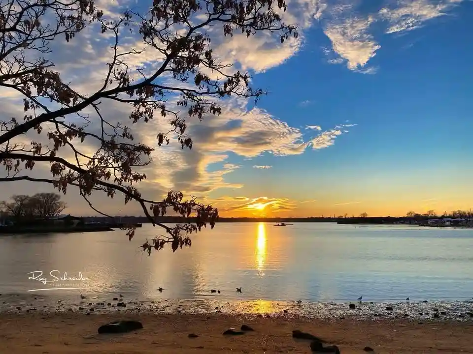 A serene sunset over a calm body of water with silhouetted tree branches in the foreground. The sky is painted with orange…